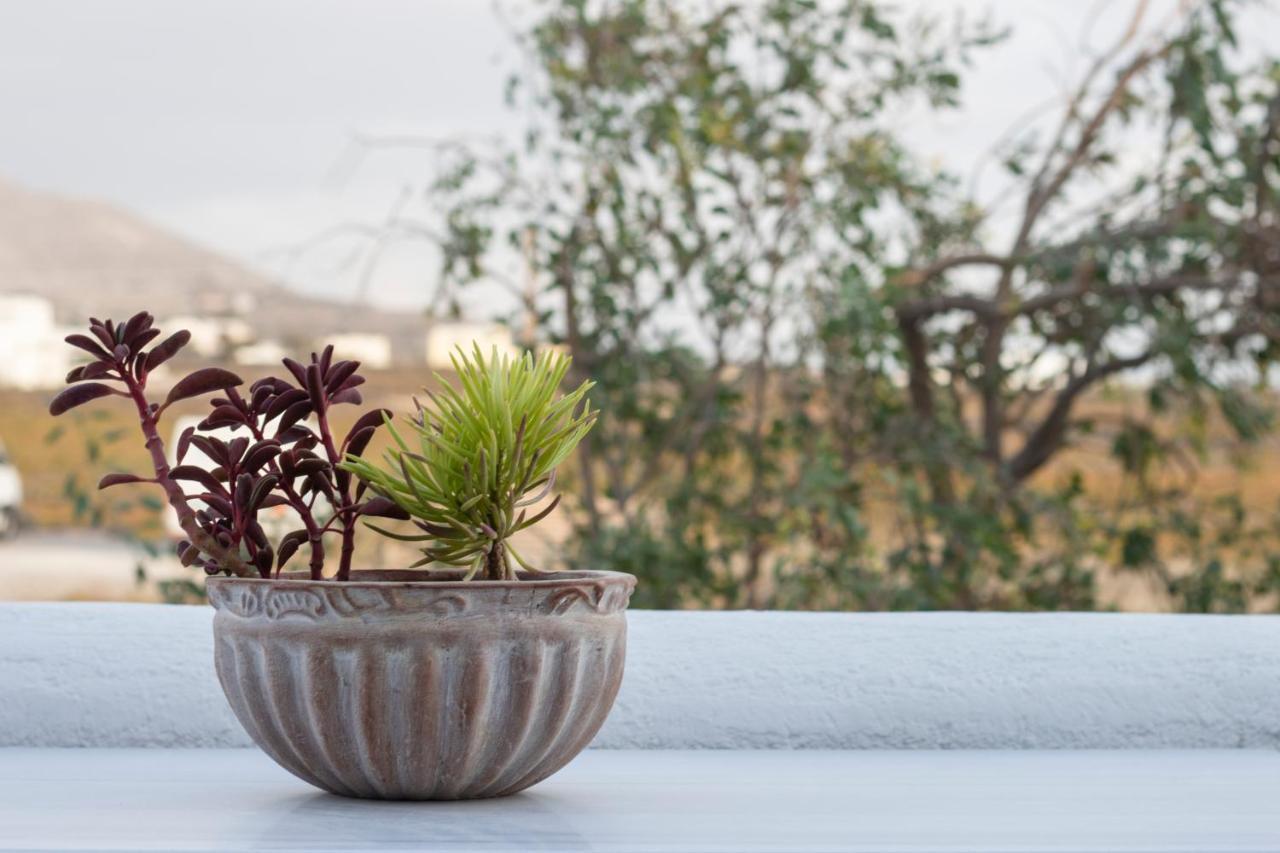 Arcana Santorini Villas, An Authentic Cycladic Experience Akrotírion Exterior foto